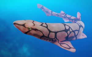 Catsharks and Ground Sharks Clickable