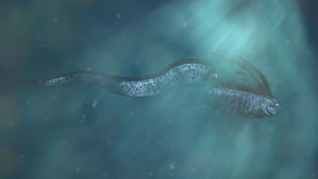 Deep Sea Header