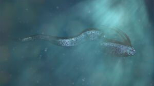 Deep Sea Header