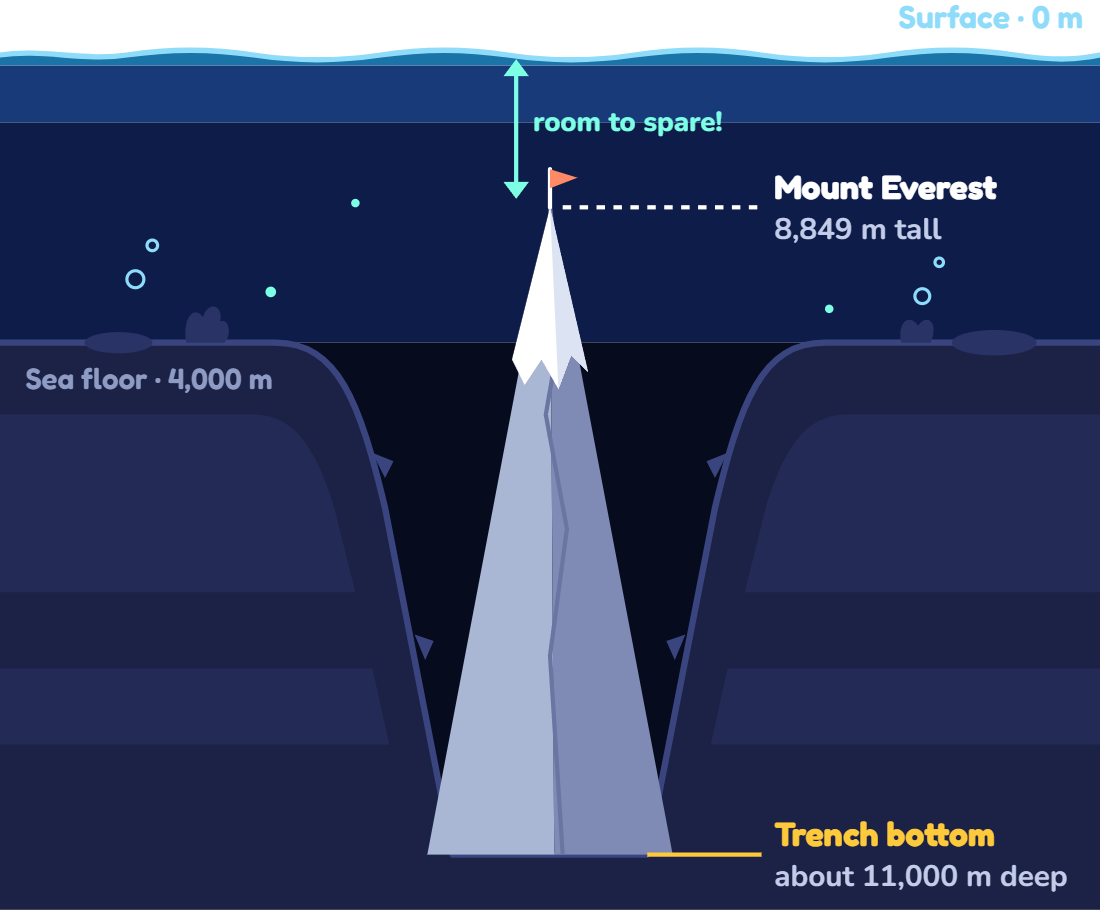 Mount Everest, 8,849 meters tall, fits inside the Mariana Trench, about 11,000 meters deep, with room to spare